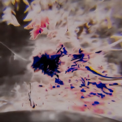 VGhlIEFyY2hpdmUgRG9lc27igJl0IEV4aXN0IC8vIEEgVGVjaHN0ZXAgSnVuZ2xlIE1peA==
