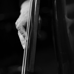 Effendi - Rachel Selch-ts, Dominic Martinez-ts, Surya Miele-p, Anton Iakukhin-dr, Darek Oles-b