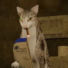 why are there cats in my attic!?