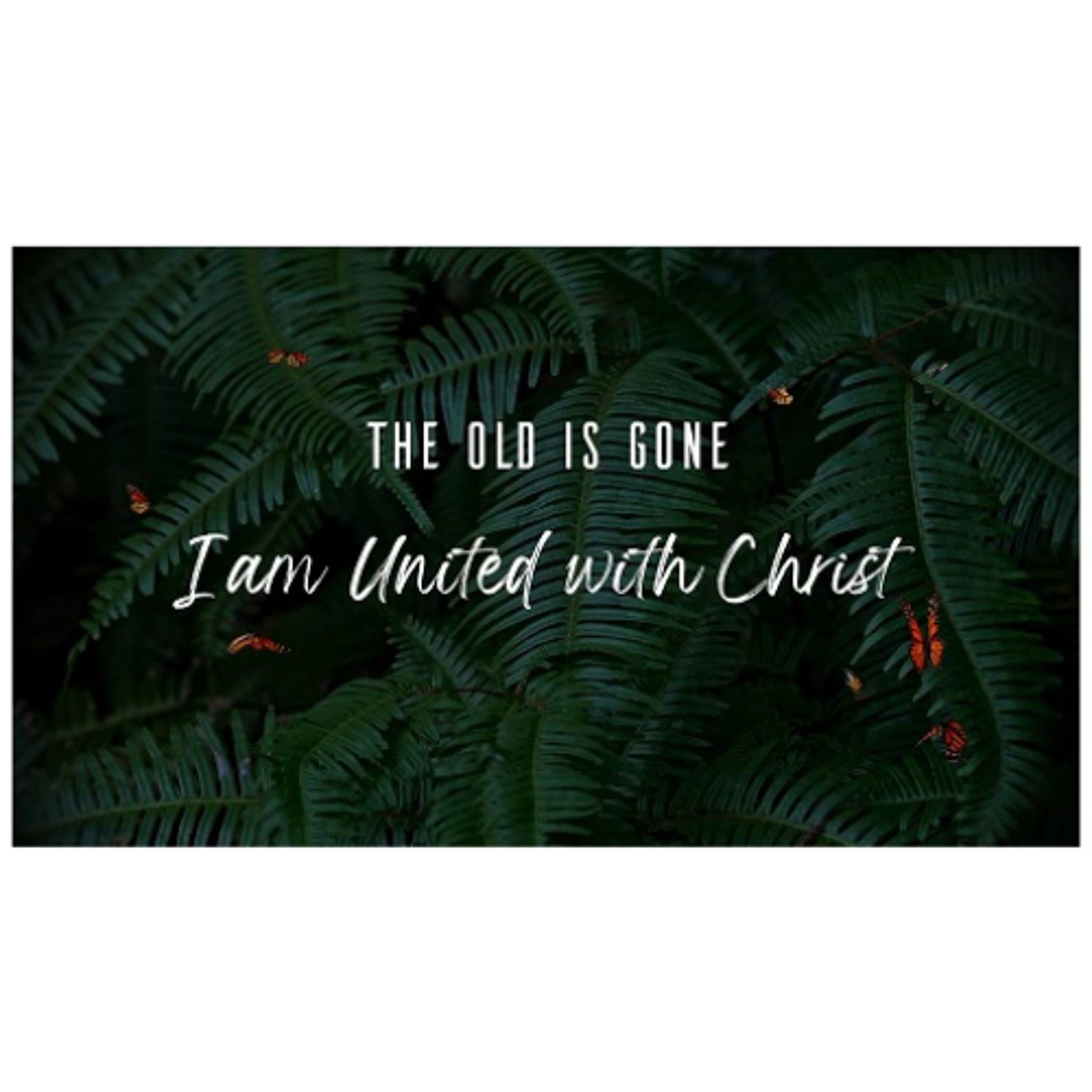 The Old Has Gone | Known and Loved (Sermon) episode artwork