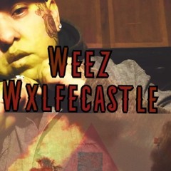 Weez Wxlfecastle-Up To You