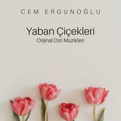 Düşünceler