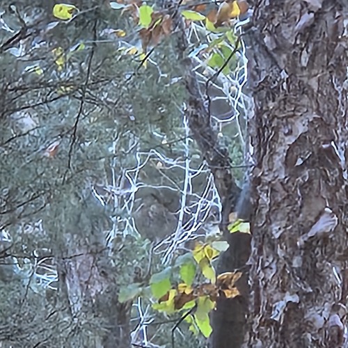 Digit Hxi x Kristjan Vool | Duo Battle | 3rd Place