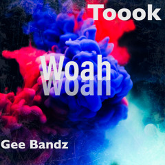 Gee Bandz Ft. TOOOK (Pro. Prodigy.Muzix)
