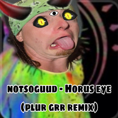 Notsoguud - Horus Eye (PLUR GRR REMIX)