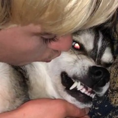 Seven hours in the driveway