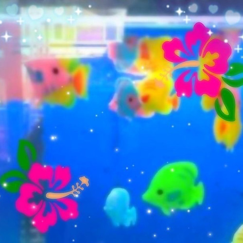 ˳✰;; 🌺 LAMP - Hatachi No Koi ✧˖*°࿐