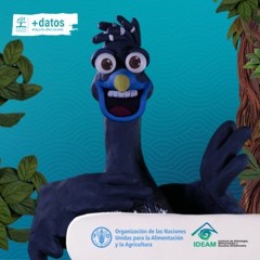 Finalización exitosa del Inventario Forestal Nacional en las Regiones Andina y Caribe de Colombia