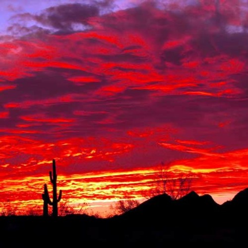 I Miss My Arizona