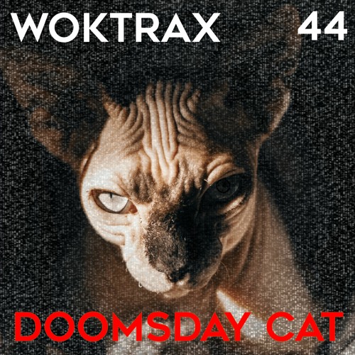 PREMIERE: Woktrax - Doom Scenario [Dark Distorted Signals]