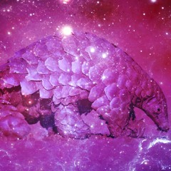 BABAR - PANGOLIN - 186 - (Prod. NiXbeats)