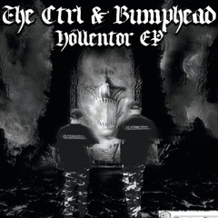 The Ctrl & Bumphead - Punk Drugs And Dirty Sex