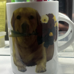 jolyne(prod by me. freestyle)