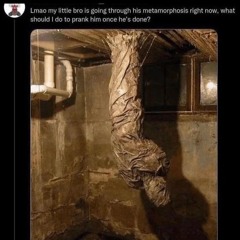 oh well youll be fine og