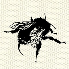 Bombus Medley
