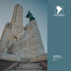 Pato Pesoa - 1040 [South America Avenue]