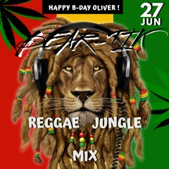 Reggae Jungle Mix (Live from Oliver-Bday party Whistler)