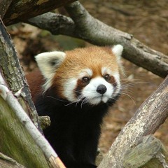 Back Again - P01CE   (Prod. xoinx)