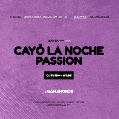 Cayó la Noche x Passion, Quevedo x Wade (Juan Amorós Mashup)