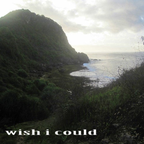 Wish I Could