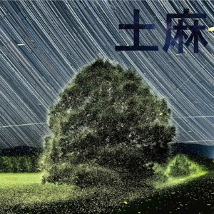 Fireflies Emerge from the Decaying Grass (腐草为萤)