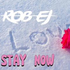 ROB EJ - STAY NOW