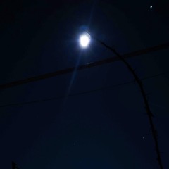 ✧NORTHERNLIGHT✧