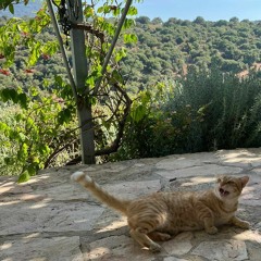 musique pour un film quelquonque