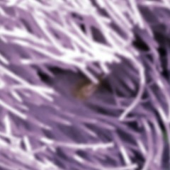 Doom Swarm (disquiet0502)
