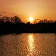 Nimeni altu - Si cand o fi