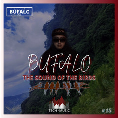 THE SOUND OF THE BIRDS #15 (BUFALO)