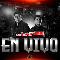 Ya No Siento Nada (Live)