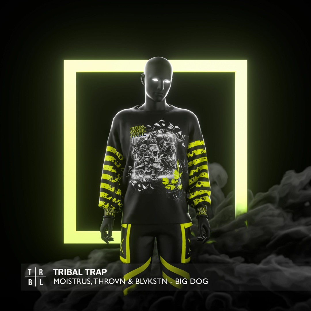 Tribal Outlaws – Underground Vibes Volu… artworks-9nqy1KccwDCZtjzW-