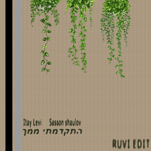 Itay Levi, Sasson Shaulov - התקדמתי ממך (RUVI EDIT)