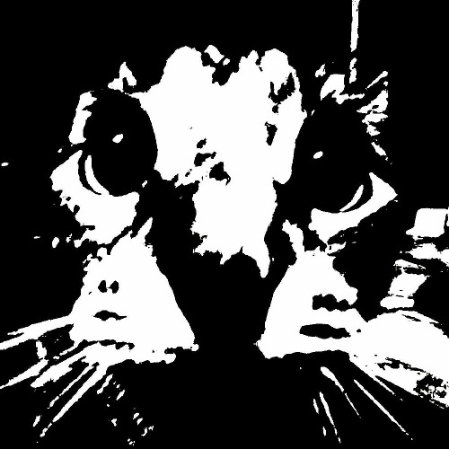 XXXTEKK - SLOWED - thrubones (Slowed & Bassboost)
