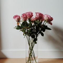 CHICAGOZ prod. by CALL DEALER