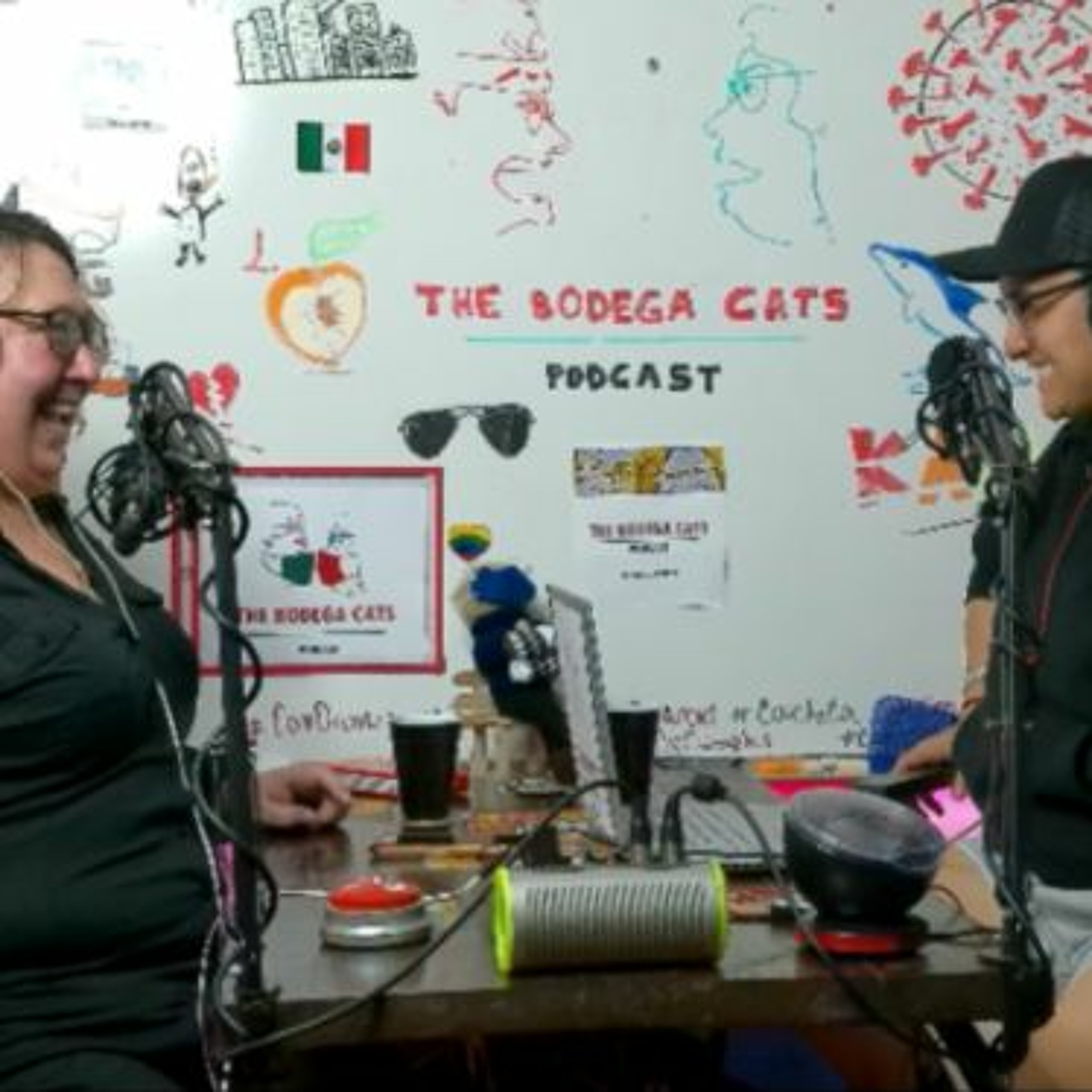 The Bodega Cats Podcast