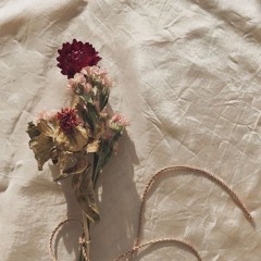 طاب الهنا - ابوبكر سالم