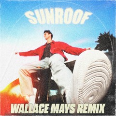 Nicky Youre - Sunroof (Wallace Mays Remix)