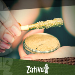 We Zijn De Kiefers Van Lichtervelde