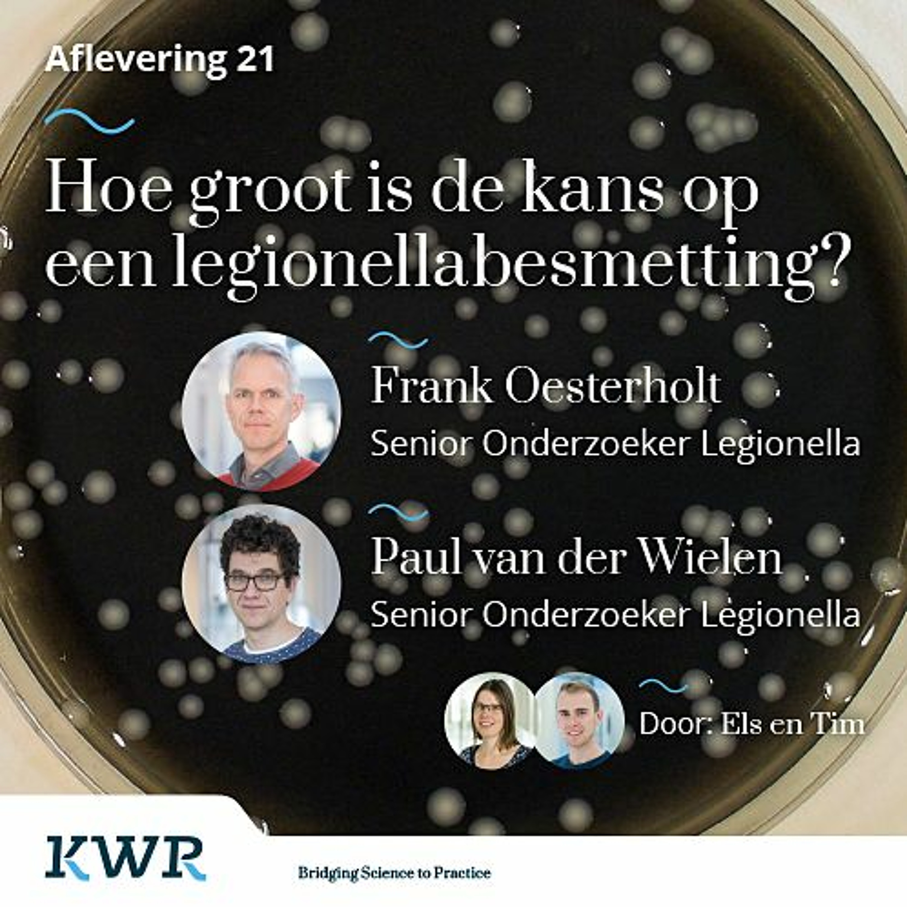 Word Waterwijs