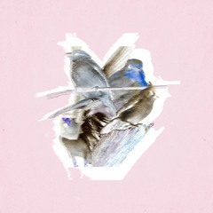 en rie x wooded - Lapwing