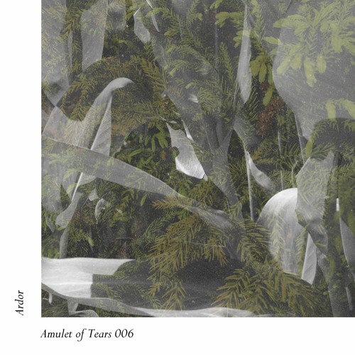 Amulet 006: Ardor