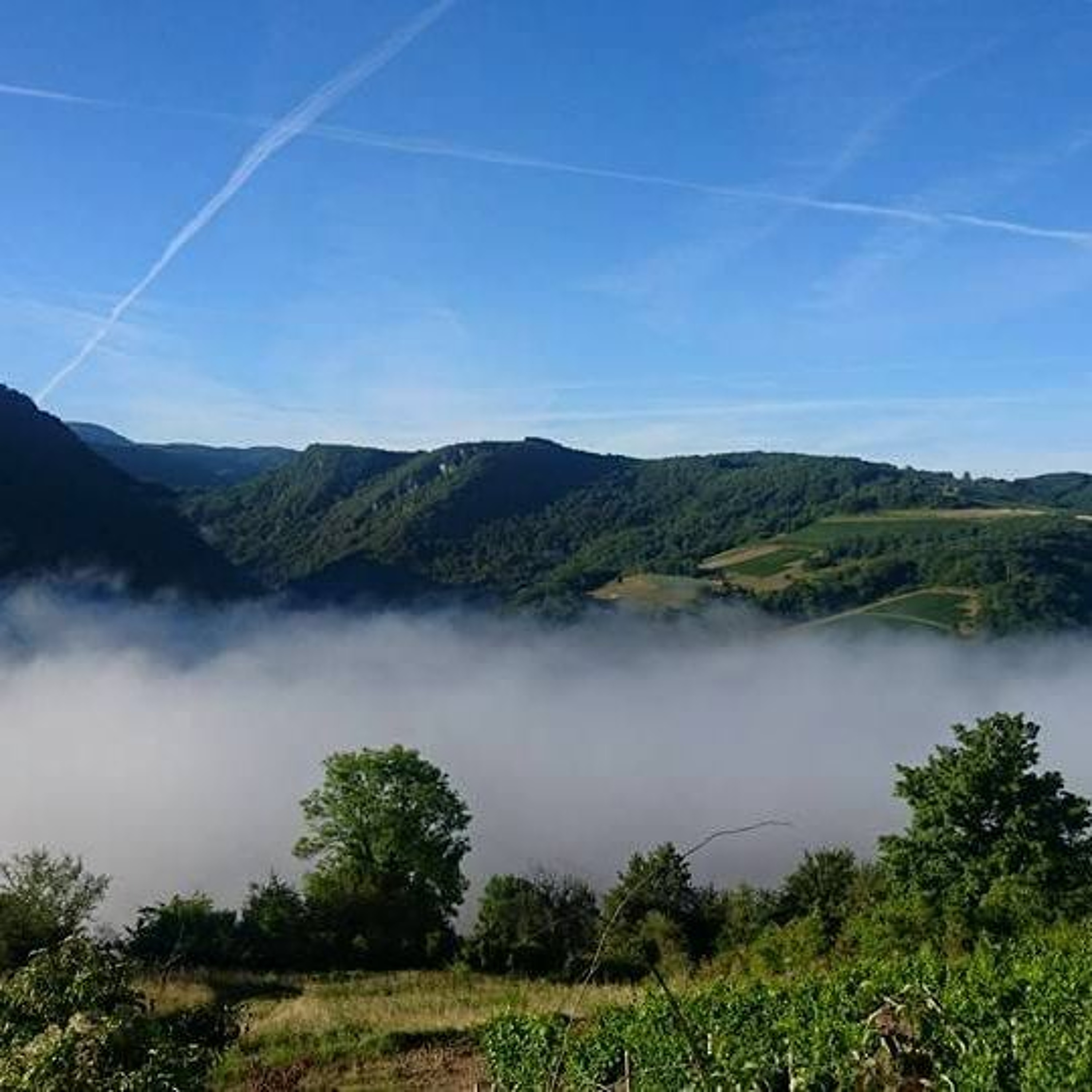 Les podcasts de RadioVino, vin naturel et gastronomie