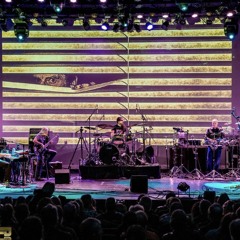 Brand X Disco Suicide LIVE 2017