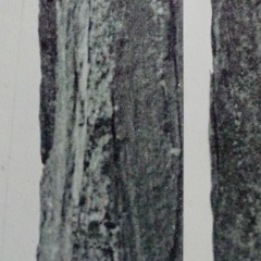 Lignes De Faiblesses (maquette)