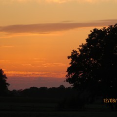 autumn leaves cover - Peet Peterman