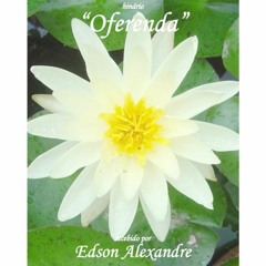 06 - Flor de Açucena