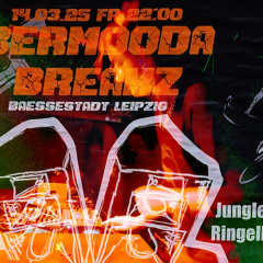 Bermooda breakz
