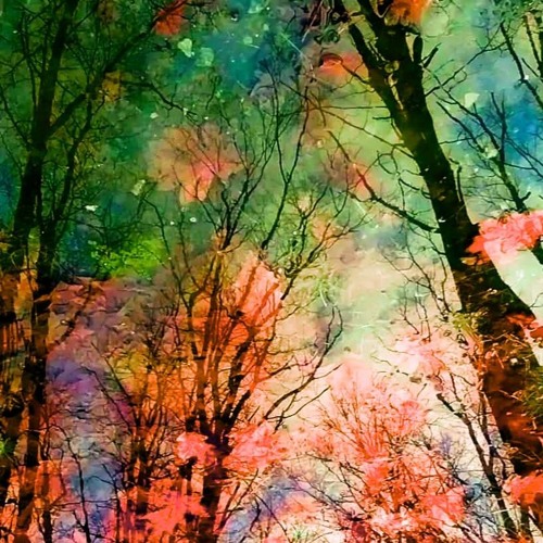 the nature of change